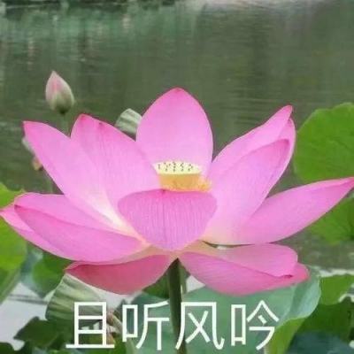 霸王三国志手游手机版(暂未上线)v1.0 安卓版